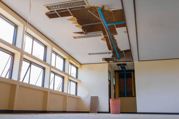 Best Water damage restoration mold remediation  in Diand, MO
