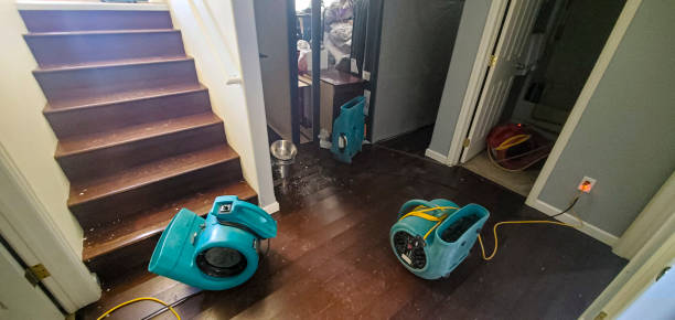  Diand, MO Water damage restoration Pros