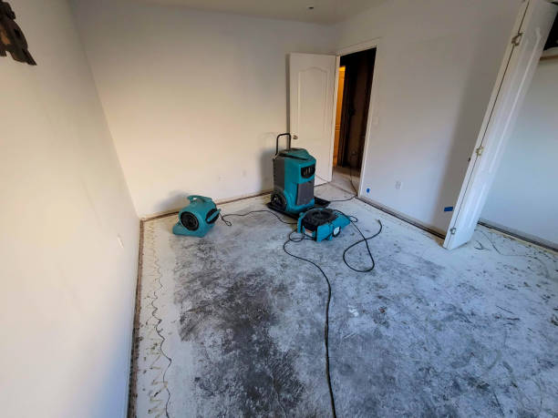 Best Professional water damage repair  in Diand, MO