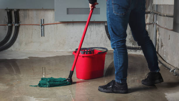 Best Flood damage cleanup  in Diand, MO