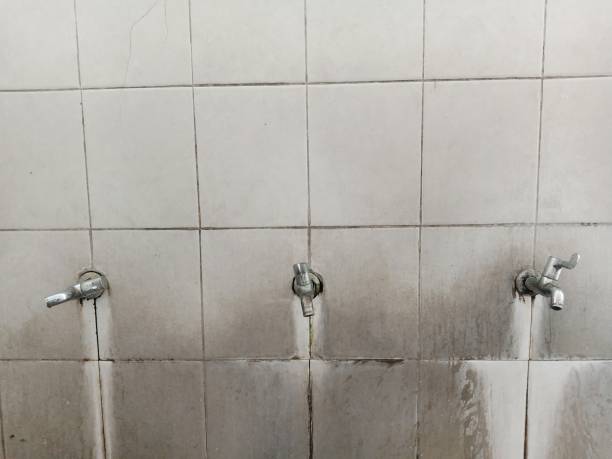 Best Water damage restoration near me  in Diand, MO