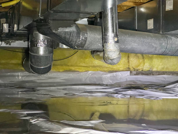 Best Water damage cleanup near me  in Diand, MO