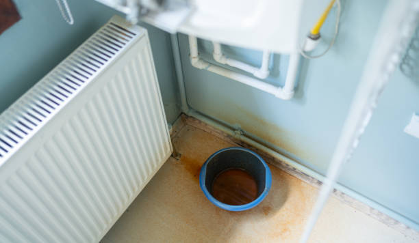 Best Local water damage restoration  in Diand, MO