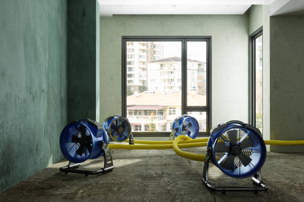 Professional Water damage restoration in MO