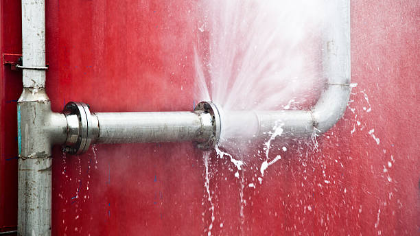 Best Commercial water damage restoration  in Diand, MO